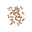 Essential Fatty Acid + B Complex